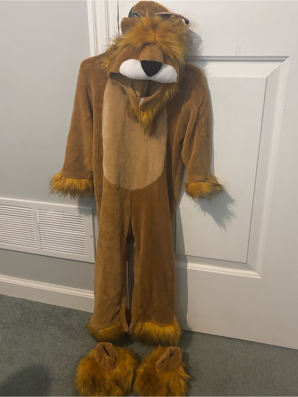 Cozy Lion Costume 3T